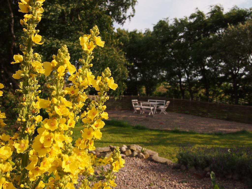 Augustas Bed & Breakfast Bed & Breakfast Falkenberg Exterior foto