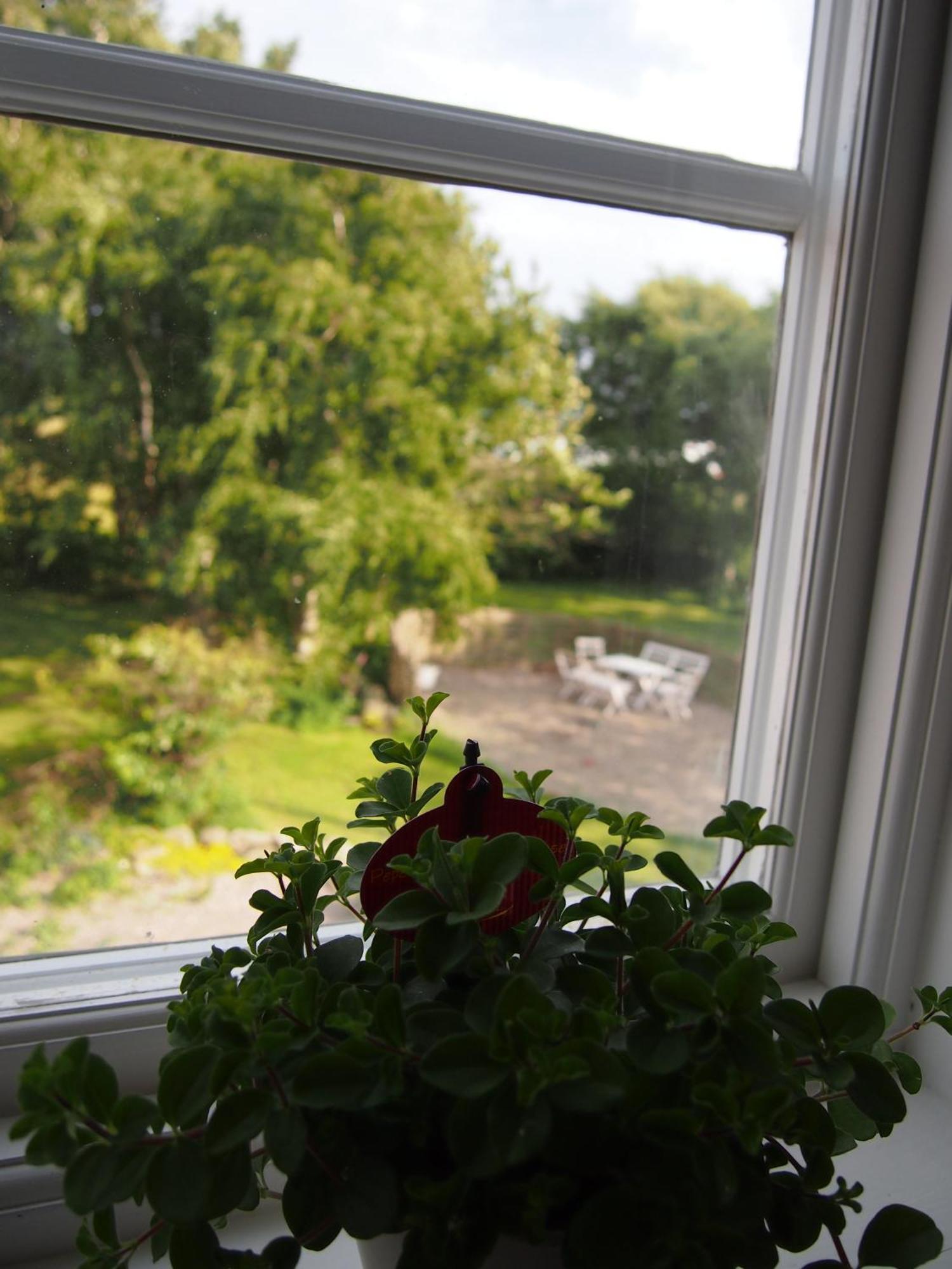 Augustas Bed & Breakfast Bed & Breakfast Falkenberg Cameră foto
